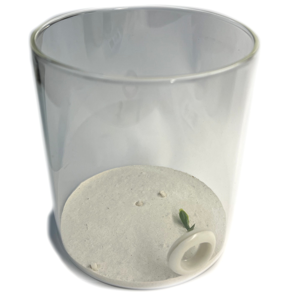 ADC en Verre Ants Labs® sans Couvercle – pour Tube de 16 à 18mm – Image 2