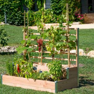 Bac en bois pour plantes ou carré potager avec treillis