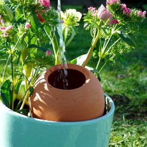 Olla à planter 1 litre - Boule en terre cuite naturelle pour l'arrosage autonome des plantes
